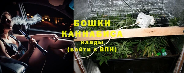 PSILOCYBIN Абдулино