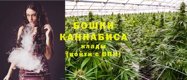 PSILOCYBIN Абдулино