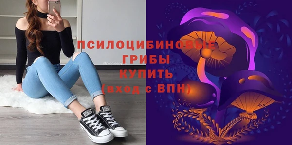 PSILOCYBIN Абдулино